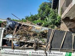 Best Shed Removal  in Hampton, GA