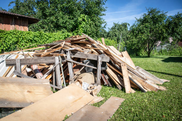 Best Basement Cleanout  in Hampton, GA
